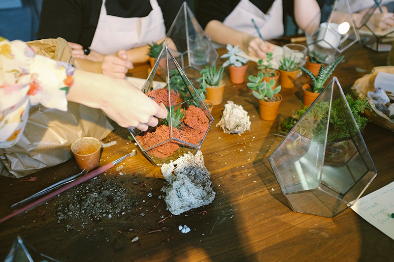 Teacher and students examining plants