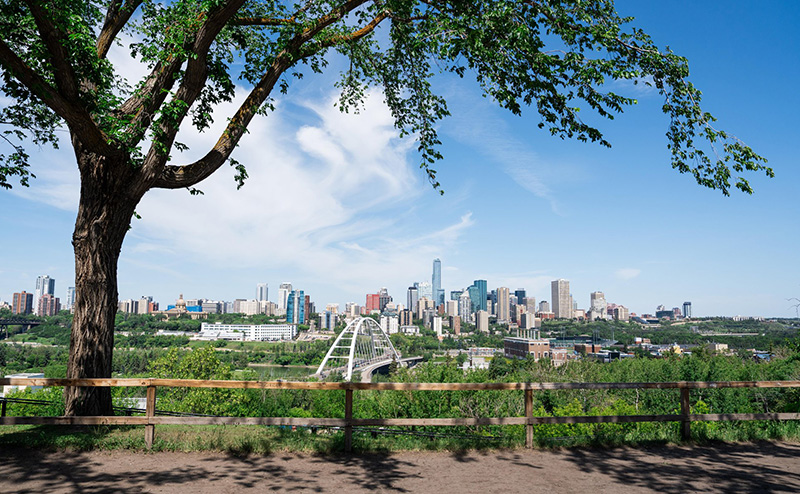 Edmonton's downtown skyline in the fall