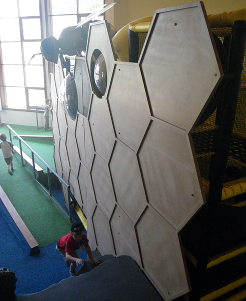 Honeycomb - bee hive