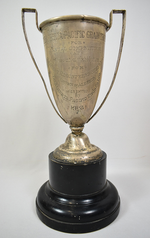 Silver trophy