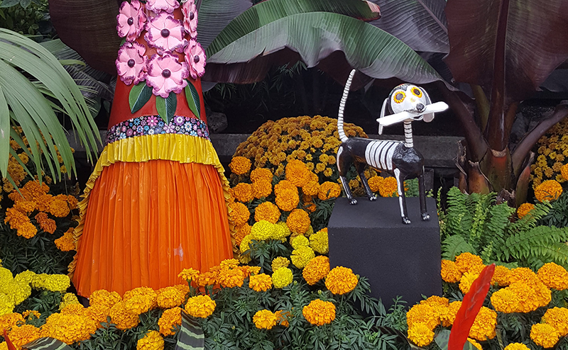 Hallowfest photo
