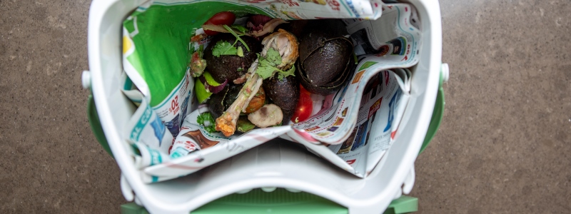 kitchen pail with food scraps
