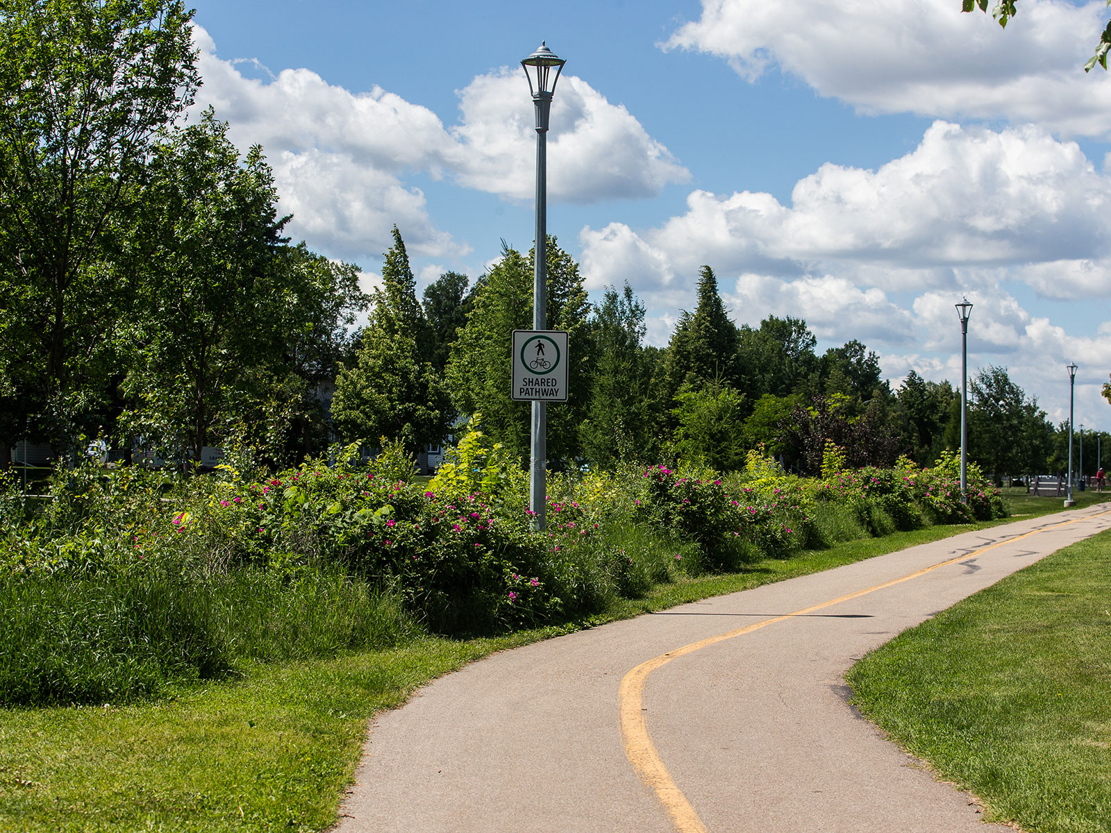 Multi-use trail with naturalization along the path