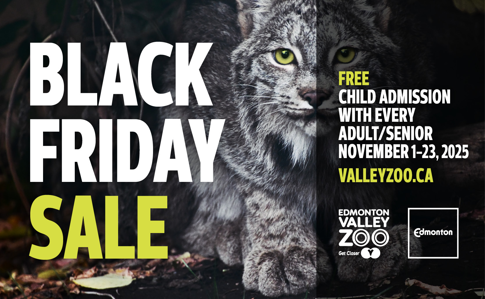 A lynx with text superimposed. The text reads: Black Friday. Free child admission with every adult/senior November 1-23. Valleyzoo.ca.