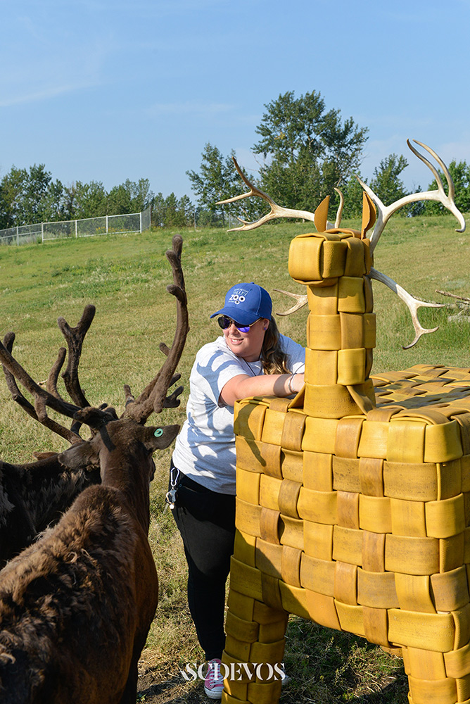 Person standing in front of reindeer