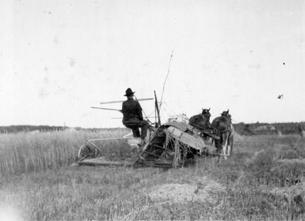 William Humberstone on Farm, ca. 1917