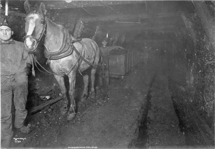 Main Entry to Mine before Rope Haulage was Installed, ca. 1917