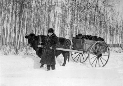 How First Load of Humberstone Coal was Delivered, n.d.