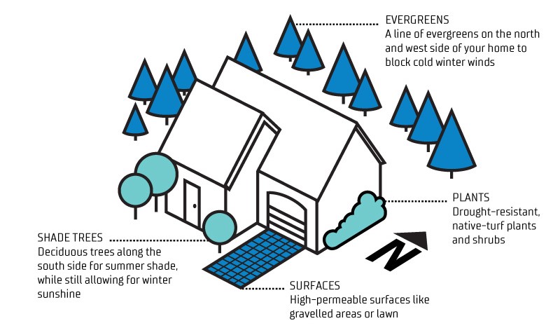 Landscaping and Outdoor Environment graphic