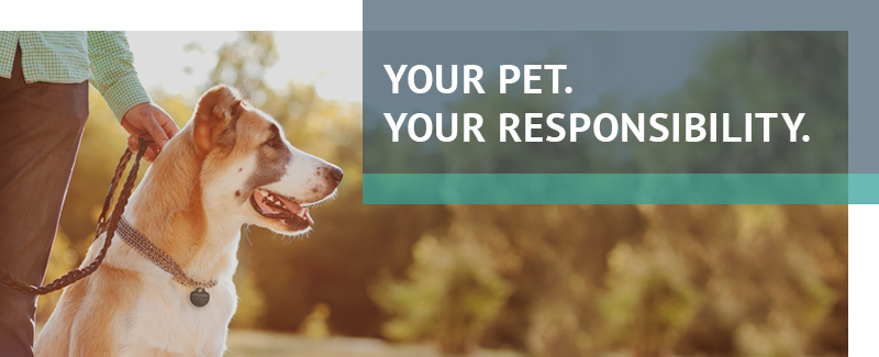 Responsible Pet Ownership
