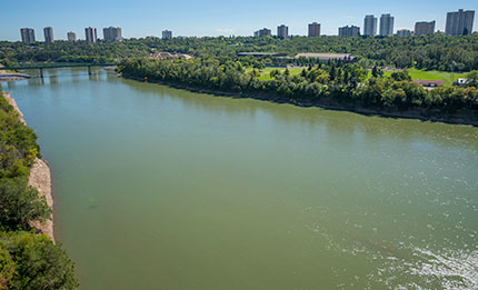 Walterdale