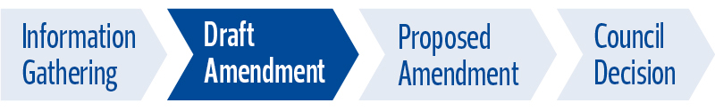 Zoning Bylaw-Project Phases-Draft Amentment