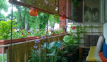 A balcony with flowers and edible plants.