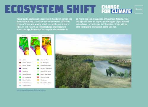 Ecosystem Shift
