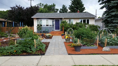 Front Yards in Bloom Edible yard example