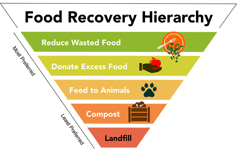 A graphic showing the food waste hierarchy