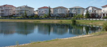 aquatic midge habitat