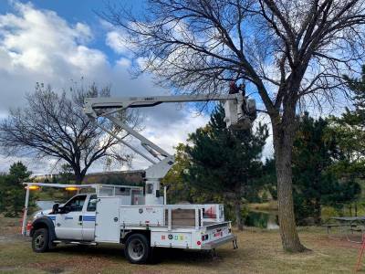 City crews pruning trees