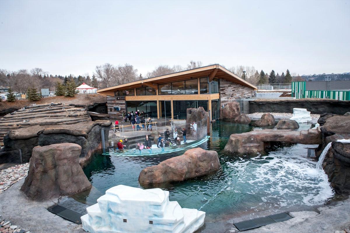 Valley Zoo Arctic Shores