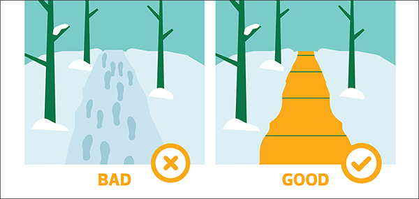 Examples of Good and Bad Cleared Sidewalks