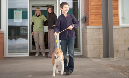 Community Standards Branch - Animal Care & Control Centre