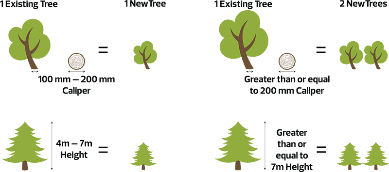 Incentives to Retain Mature Trees