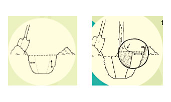 Tree planting placement drawing