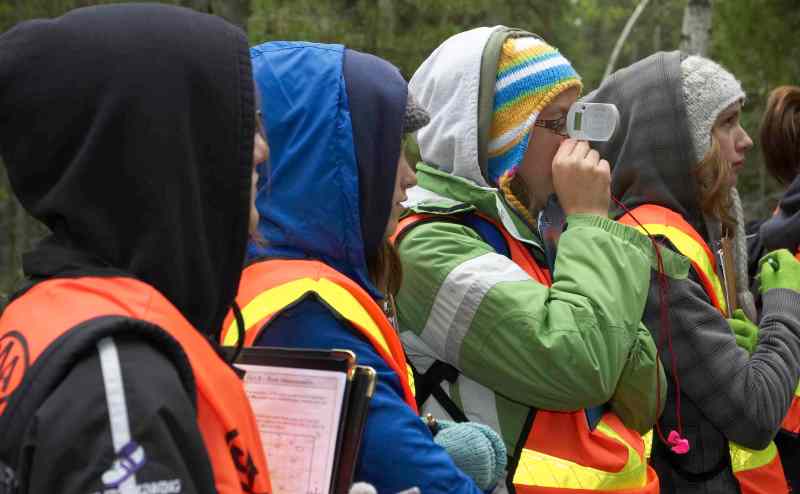 citizens observing nature