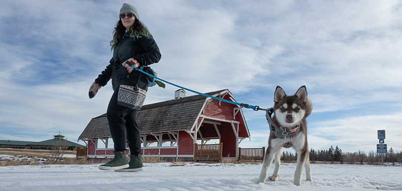 Woman walking dog on leash at the Northeast River Valley Park
