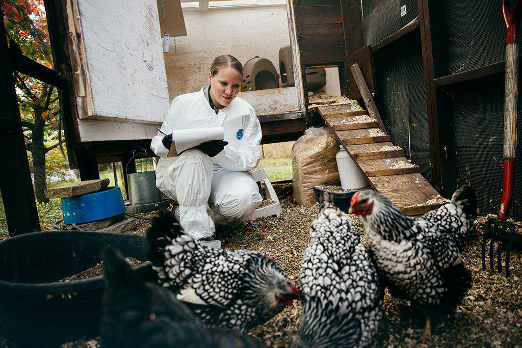 woman with hens in yard