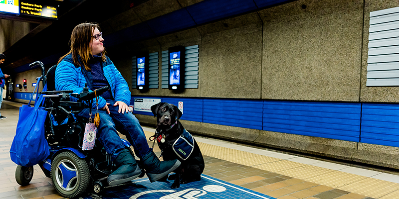 Waiting For The Train