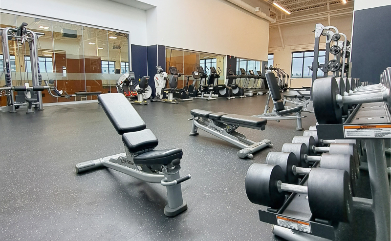 Treadmills and other step machines lined up against a wall, ready for use.