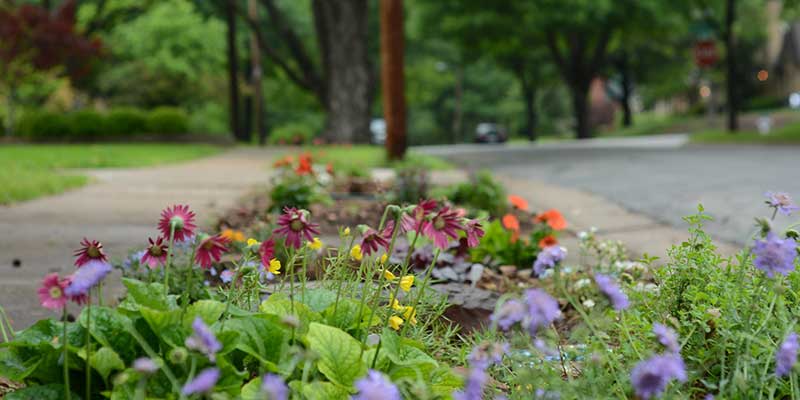 Boulevard Gardening