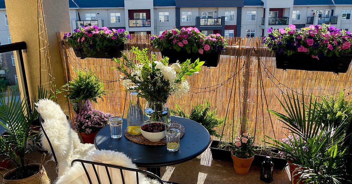 Photo of a balcony with plants and flowers
