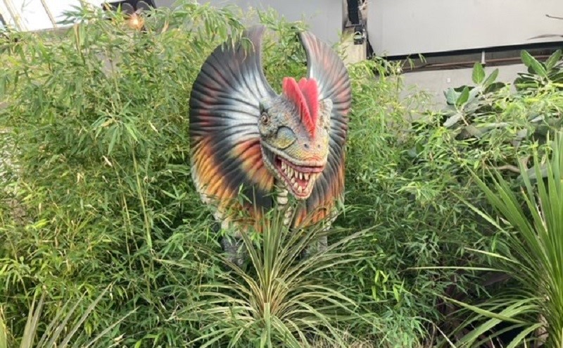 dinosaur in plant