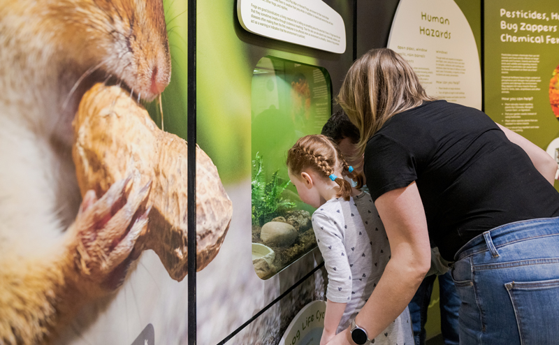 A family examining a display at JJNC.