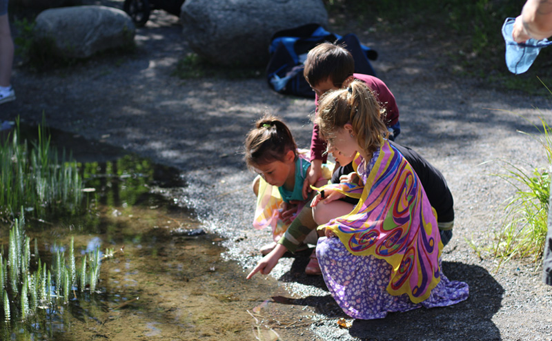 Kids exploring nature near a shallow body of water.