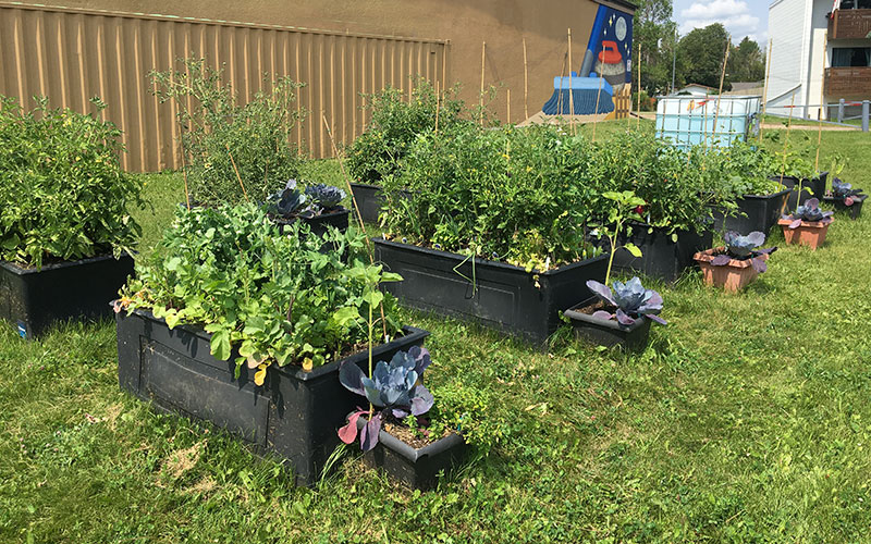 garden boxes