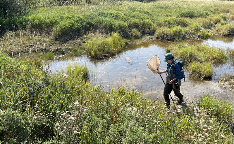 A woman with equipment on her back holds a net as she walks near a pond.