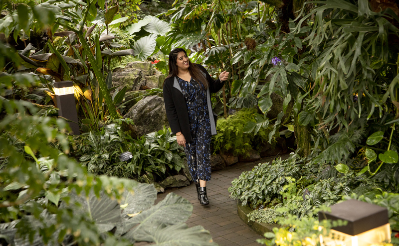 A woman surrounded by plants in one of the Muttart pyramids.