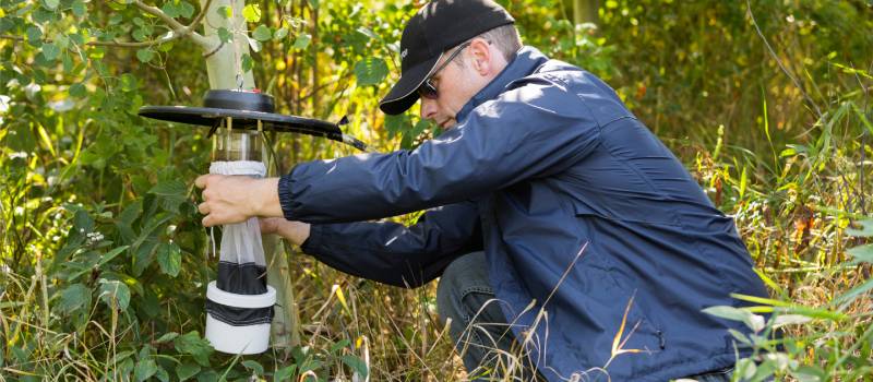 Mosquito Control Program Fieldwork