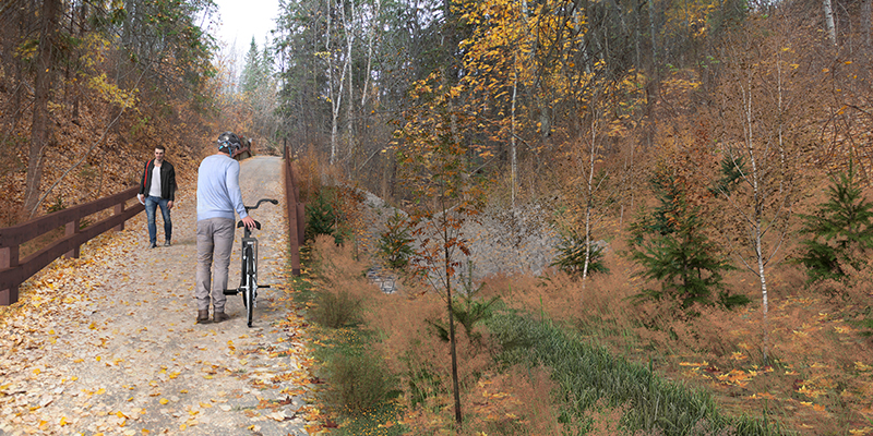 Ramsay Ravine Middle Trail Repair  - View North