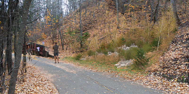 Ramsay Ravine North Trail Repair - View South