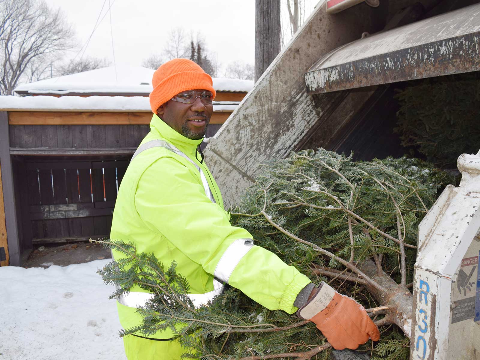 christmas tree disposal