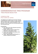 Commemorative Tree Program Guideline