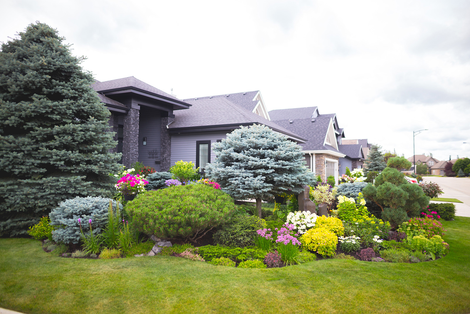 2022 Front Yards in Bloom Winners City of Edmonton