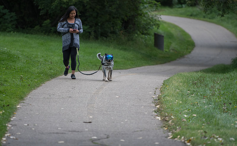 Paved Trail with dog walker