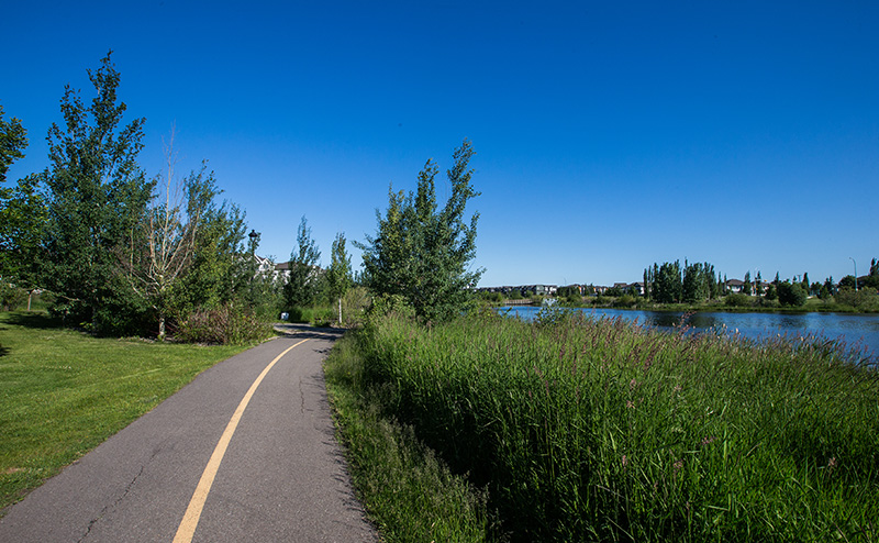 Naturalization and boulevard/open space trees.