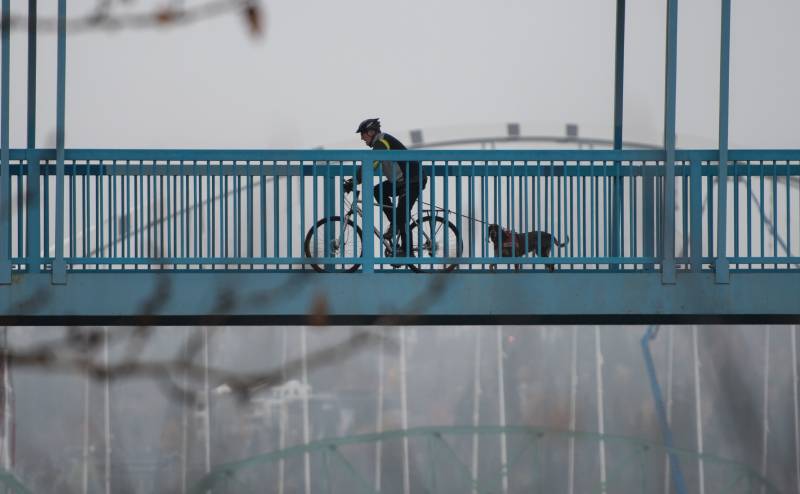 Dog and his guardian out for a morning cycle