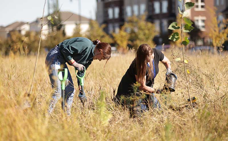 Root for Trees Volunteers